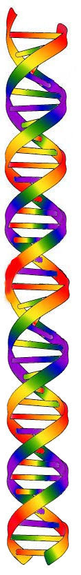 12 strand DNA activation